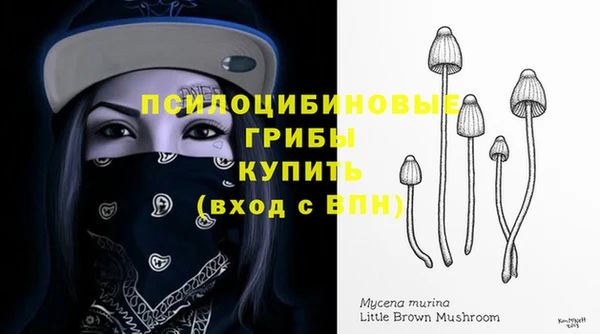 молекула духа Аркадак