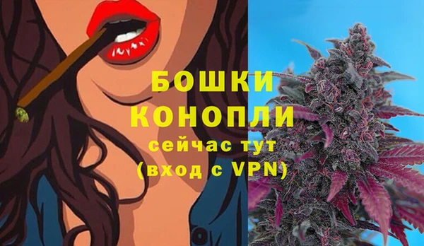 молекула духа Аркадак