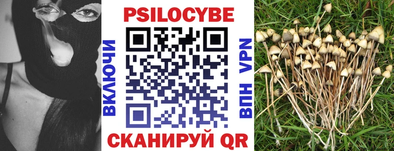 наркотики  Макарьев  Псилоцибиновые грибы MAGIC MUSHROOMS 